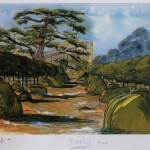 Watercolour by Prince Charles